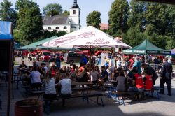 Kuncice003